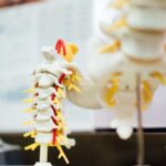 Relieve Back Pain And Build Strength With EMS Training Workouts
