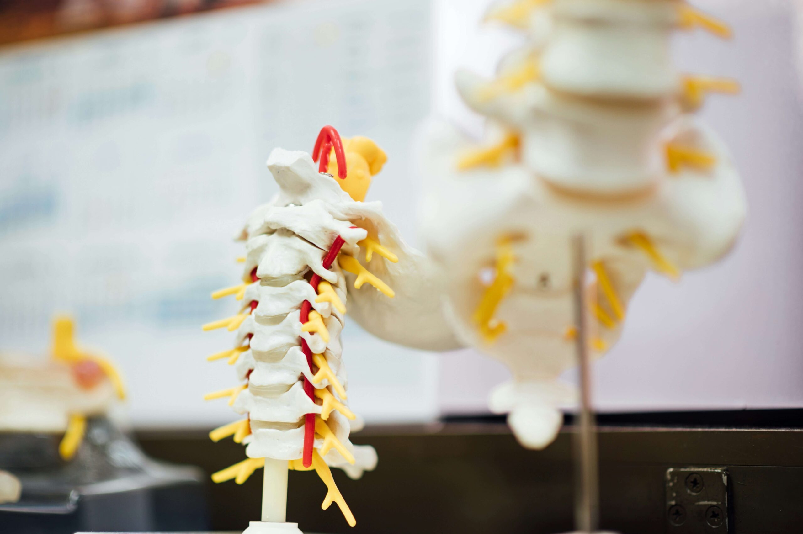 back pain