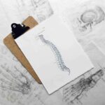 Scientific Research: Electrical Muscle Stimulation (EMS) in Helping to Reduce Back Pain.